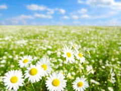 勵志說說圖片素材：你現(xiàn)在所受的苦，日后都將成為你驕傲的資本