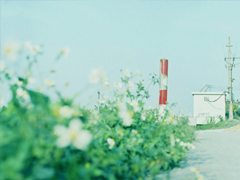 qq說說女生傷感心累了帶圖片 簡短一句話說說女生難過寂寞