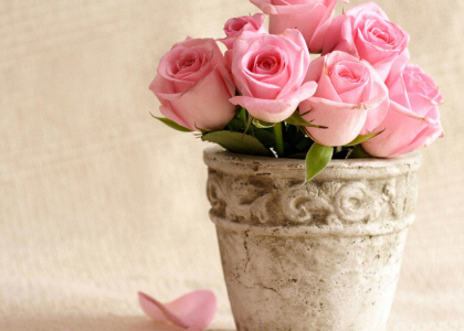 愛(ài)情圖片說(shuō)說(shuō)大全:我不是溫柔的人,卻為你做盡溫柔的事