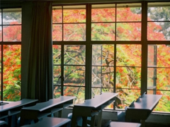 qq說(shuō)說(shuō)傷感女生帶絕情配圖 是真的感到心好累說(shuō)說(shuō)帶圖片