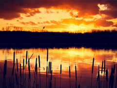 晚安說說勵志好心情一句大全帶圖片 簡單一句晚安心語勵志配圖