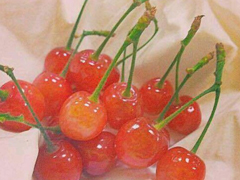 超甜蜜的句子少女心炸裂的情話 適合表白時(shí)說的句子