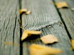 獨(dú)一無(wú)二微信個(gè)性說(shuō)說(shuō)帶圖片 路那么長(zhǎng)少一些人也無(wú)妨