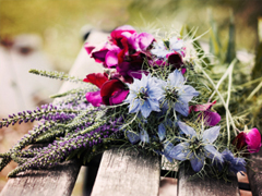 女生表白男生的話可愛簡短 2019最美最動聽的情話大全微微甜