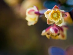 2019送給自己的一句話勵志 新的開始送給自己的一句話簡短