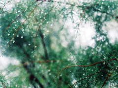 感悟很深的經(jīng)典句子大全 人生最深刻的道理句句穿心