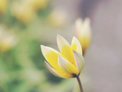 2019二月再見三月你好說說經(jīng)典勵志 三月你好微信早安句子