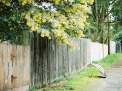 2019最新經(jīng)典語(yǔ)錄太經(jīng)典了霸氣 正能量的朋友圈經(jīng)典語(yǔ)錄