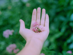 有種淡淡心酸的個性說說帶圖片 文字控喜歡的文藝個性說說配圖