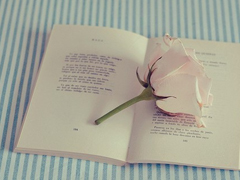 國內(nèi)國外很經(jīng)典的電影臺詞經(jīng)典語錄 關(guān)于人生愛情的精辟電影臺詞