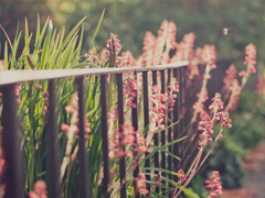 情感治愈系經(jīng)典語錄大全 能融化你心的簡短經(jīng)典說說