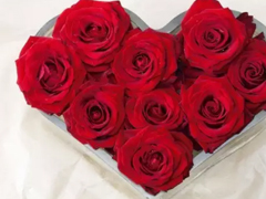 2018七夕情人節(jié)表白語錄超浪漫 很甜很撩人的七夕告白語錄