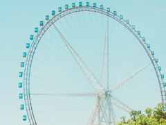 精選30句張愛玲經(jīng)典語錄 生命是一襲華美的袍爬滿了蚤子