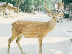 表示無聊的朋友圈說說帶圖片：無聊，是人生的一種正常現(xiàn)象