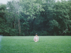 激勵(lì)我們?cè)谌松飞侠^續(xù)走下去的勵(lì)志句子 很正能量陽(yáng)光的句子