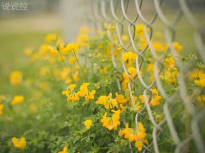 傷感圖片說說：你突然對我這么冷淡，是不是在為別人赴湯蹈火