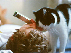 一些國(guó)外小說(shuō)影視電影中的經(jīng)典英文句子精選