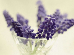 心里有事失眠的說說2019最新 失眠夜述說心事的傷感句子