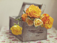 經(jīng)典唯美的浪漫句子致愛情 很暖心很有愛的唯美句子大全