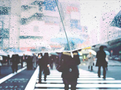 單身一個人的傷感句子大全 心情低落可以發(fā)朋友圈的傷感句子