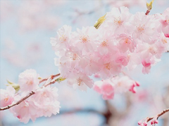 個(gè)人最欣賞的古詩(shī)詞合集 唯美古詩(shī)詞說(shuō)說(shuō)心情短語(yǔ)