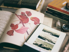 愛情讓我成長的傷感說說2019精選 有些人注定是你生命中的過客說說