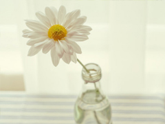 微信朋友圈干凈簡(jiǎn)單的句子 無(wú)聊發(fā)朋友圈的簡(jiǎn)短句子合集