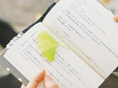 文字控喜歡的唯美小清新句子大全 2018超唯美的唯美文藝句子