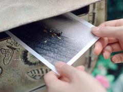 一眼足以驚艷你的句子 文藝青年喜歡的唯美句子