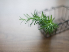 春天唯美說說心情短語 微信一句話唯美說說大全