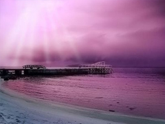 心已經(jīng)涼透的傷感句子 累感不愛的說說心情短語