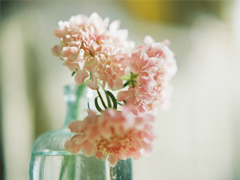 2019元宵節(jié)微信短信祝福語大全 元宵節(jié)送祝福的好聽優(yōu)美句子