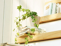 彌漫著淡淡傷感的句子關(guān)于成長(zhǎng)和愛情 2018關(guān)于成長(zhǎng)和愛情的傷感句子