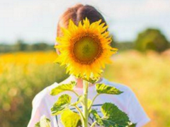 2018人生哲理的句子帶圖片帶字 很精辟的人生哲理句子配圖14條