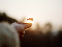 讓對(duì)方讀到就覺(jué)得心疼的傷感句子 一個(gè)人硬撐下去的傷感句子