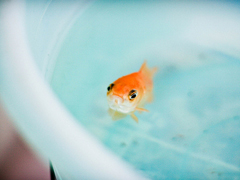 2018表達(dá)心情失落的傷感句子大全 痛到心碎的愛(ài)情傷感句子