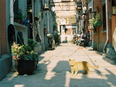 對一個人有好感說說句子 靜悄悄喜歡一個人的說說低調(diào)暖心