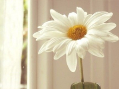 簡(jiǎn)單點(diǎn)的說說句子心情短語 沒有人是好脾氣只是你比較重要