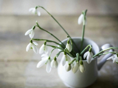 50句最傷感的愛情句子 能讓人瞬間哭出來的句子