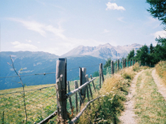 疼到骨子里的一些悲痛句子 句句刺心讓人心寒的愛(ài)情句子