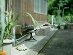 愛(ài)情中的甜蜜句子 很甜很少女的愛(ài)情情話句子