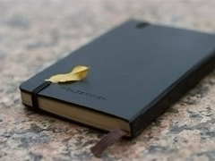 物是人非的愛情句子 愛情中有些憂傷心酸的句子