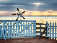 女生為情所困的傷感說說 女生傷感說說大全20字以內