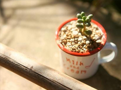 2019最流行的唯美傷感說說 有一個人總能讓你牽腸掛肚