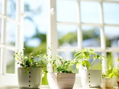 一個人被愛情傷透了的說說 被感情傷害的說說心情短語