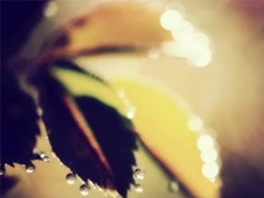 輸?shù)靡凰康膼?ài)情傷感說(shuō)說(shuō) 句句寫(xiě)入心坎的傷感說(shuō)說(shuō)大全