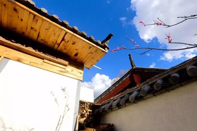 束河桃花塢，在茶馬古道浮生清閑陪父母慢慢變