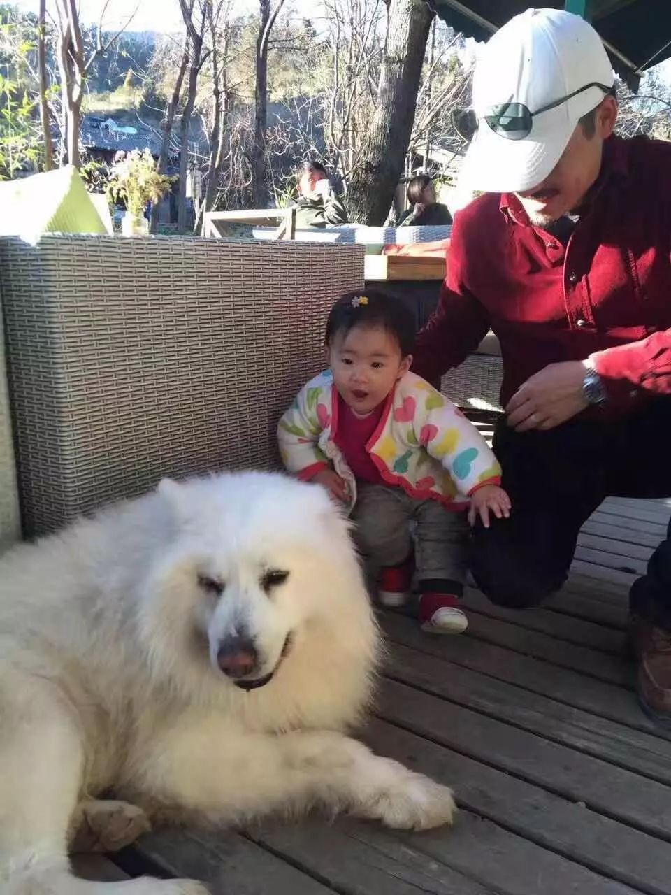 束河桃花塢，在茶馬古道浮生清閑陪父母慢慢變