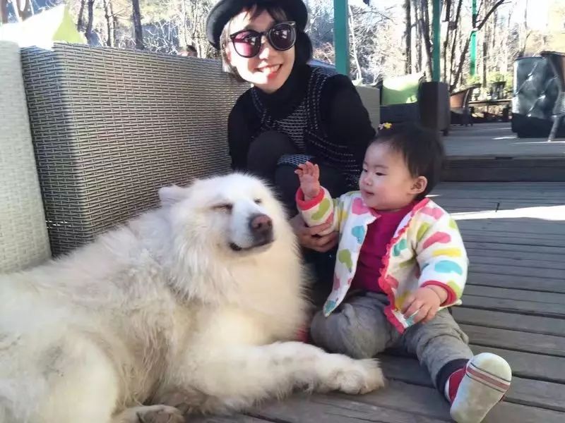 束河桃花塢，在茶馬古道浮生清閑陪父母慢慢變