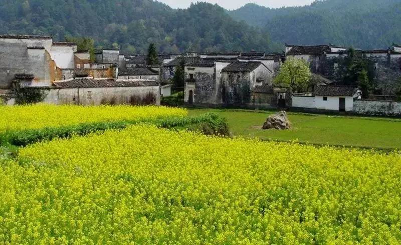 8家黃山腳下最美民宿，在青山田野享受歸園田居